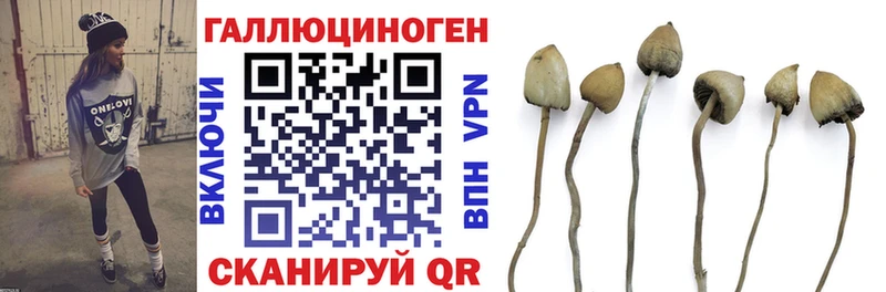 Псилоцибиновые грибы мицелий  Шумиха 